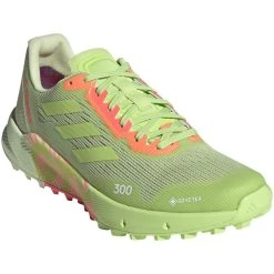 Adidas TERREX Agravic Flow 2 GTX Chaussures De Course Sur Piste Femme, Vert
